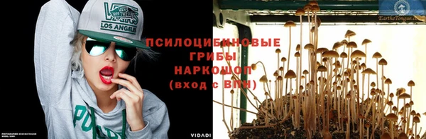 мдма Михайловск