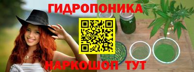 ГАЛЛЮЦИНОГЕННЫЕ ГРИБЫ Кандалакша