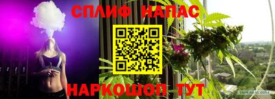 тгк Камышлов