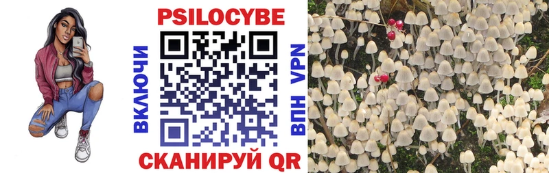 Псилоцибиновые грибы Psilocybine cubensis  Унеча 