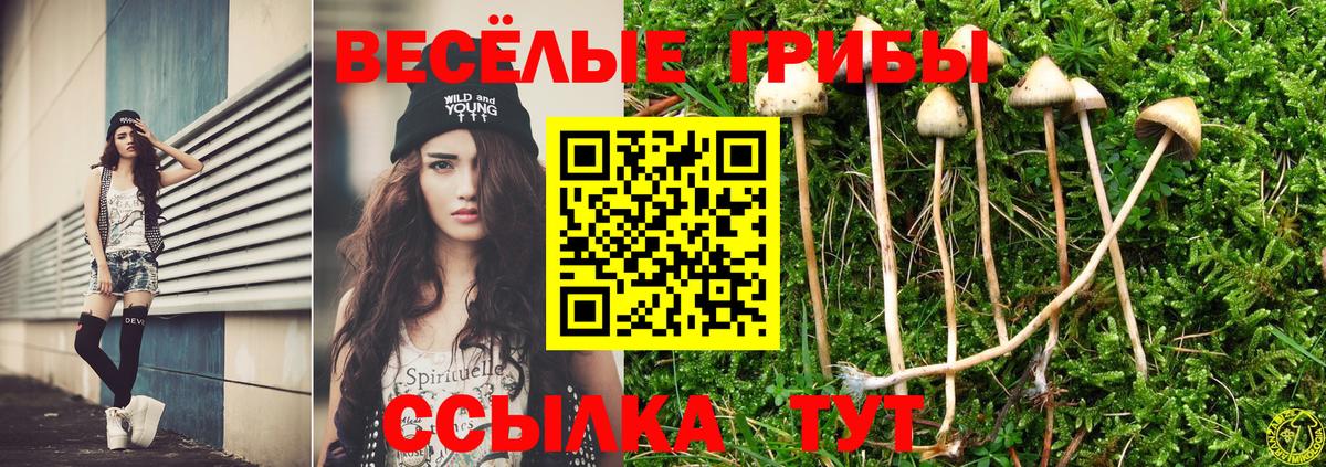 Псилоцибиновые грибы MAGIC MUSHROOMS Унеча